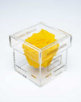 Gift a captivating yellow single infinity rose in a classy acrylic box for Valentine's Day and other romantic events in your life - Amaranté London.