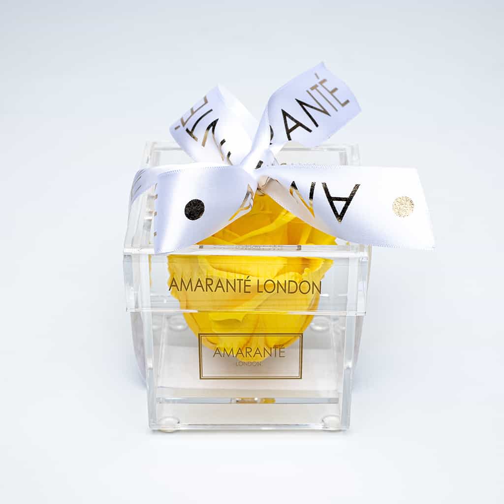 Captivating yellow single rose in an acrylic box with stylish ribbon for Valentine&#39;s Day and other romantic events in your life - Amaranté London.