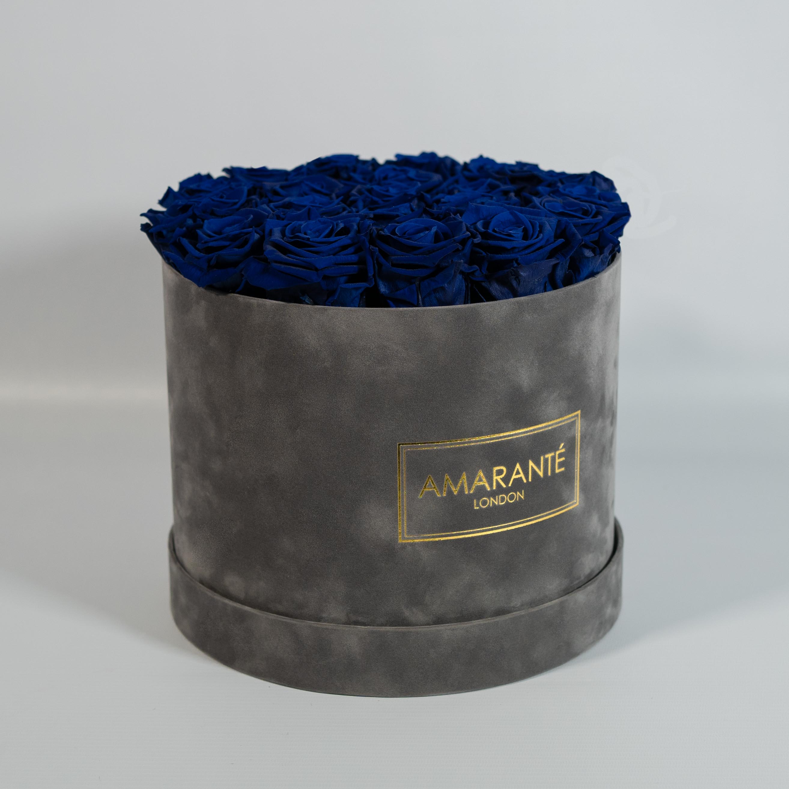 Dapper royal blue Roses characterising protection, security, and good health. 