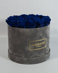 Dapper royal blue Roses characterising protection, security, and good health. 