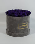 Charming dark purple Roses exhibited in a grey large round box 