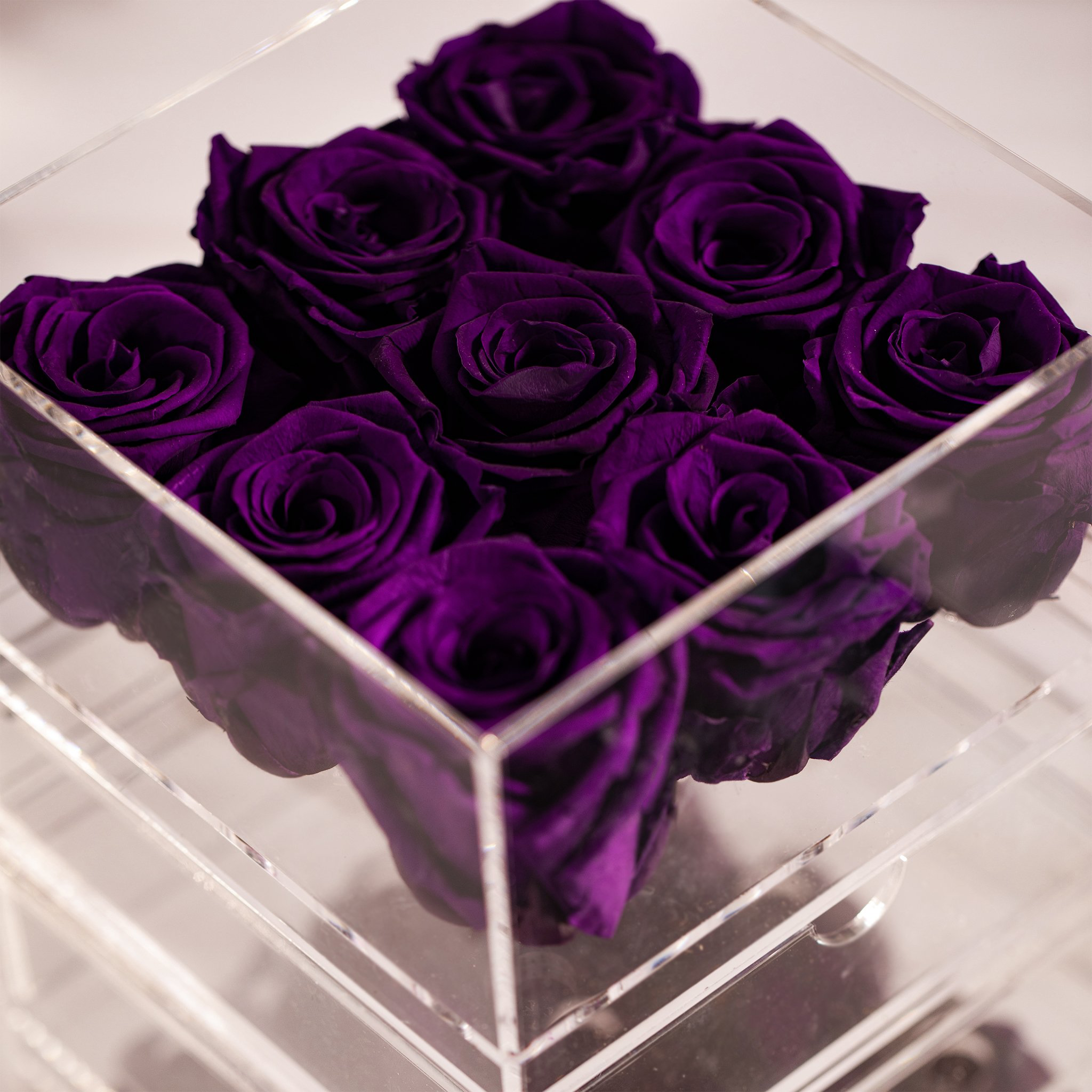 Luxurious dark purple set of nine Roses implying wisdom, magic, and creativity.