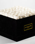 Magical white Roses in a stylish black extra large box. 