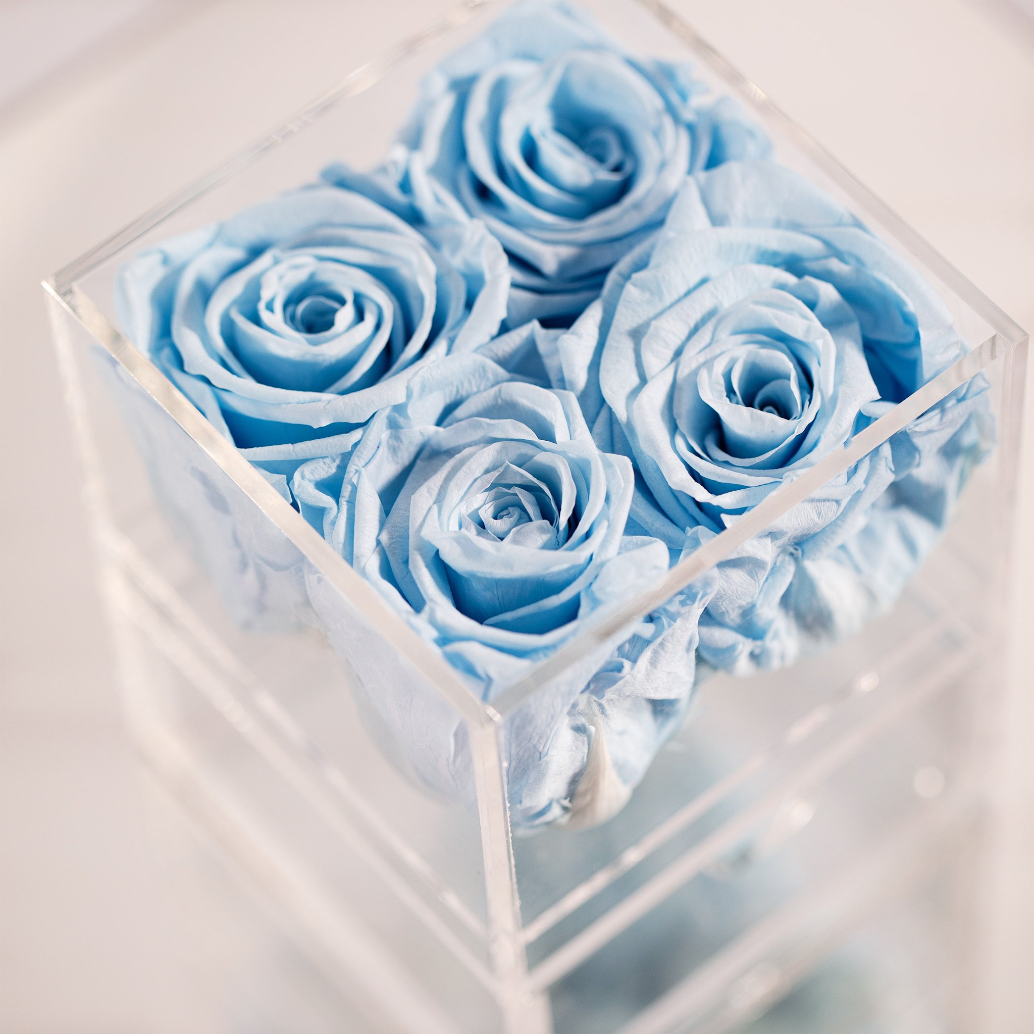 Elegant light blue roses suggesting protection and security 
