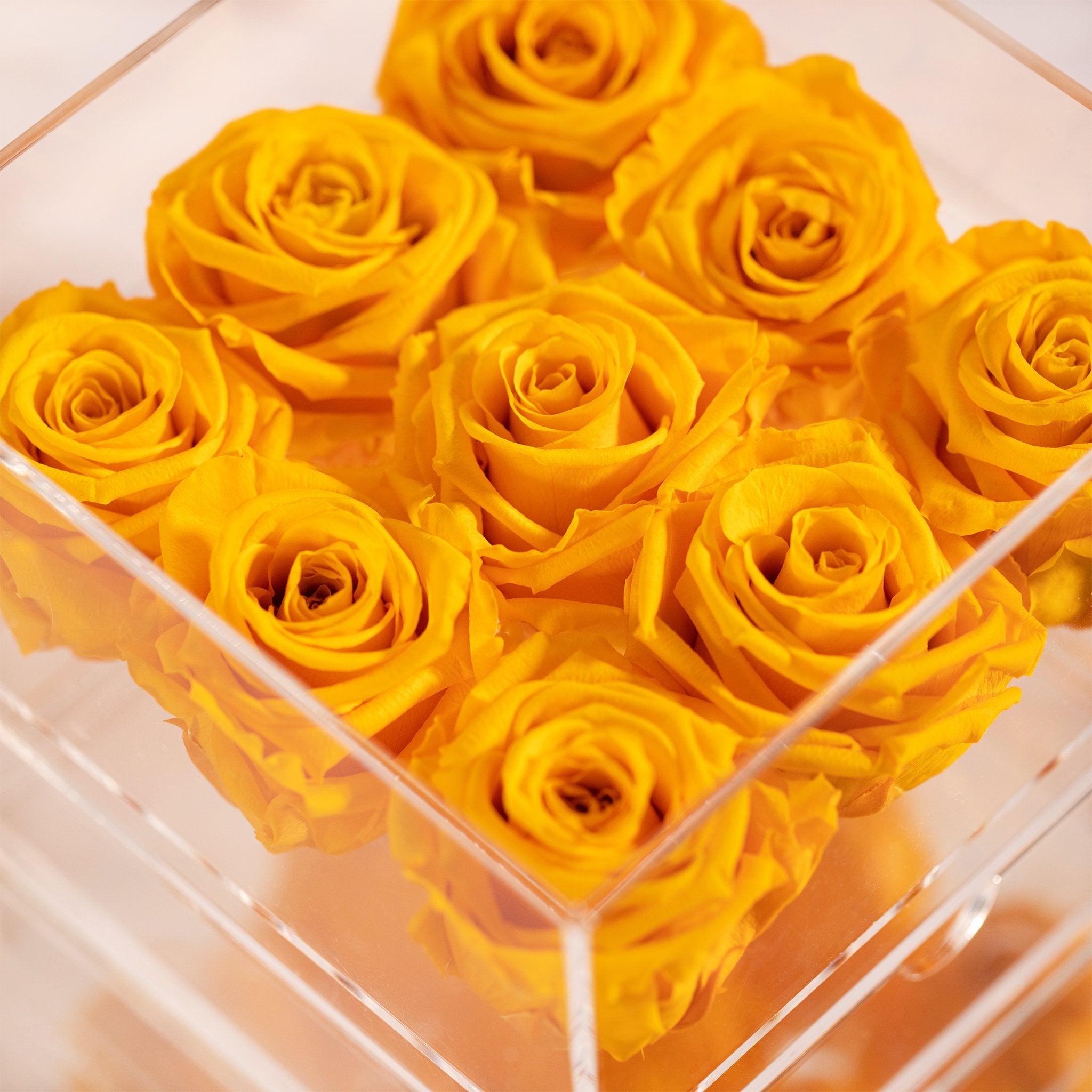 Delightful yellow Roses expressing friendship, joy, and optimism. 