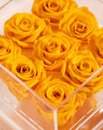 Delightful yellow Roses expressing friendship, joy, and optimism. 