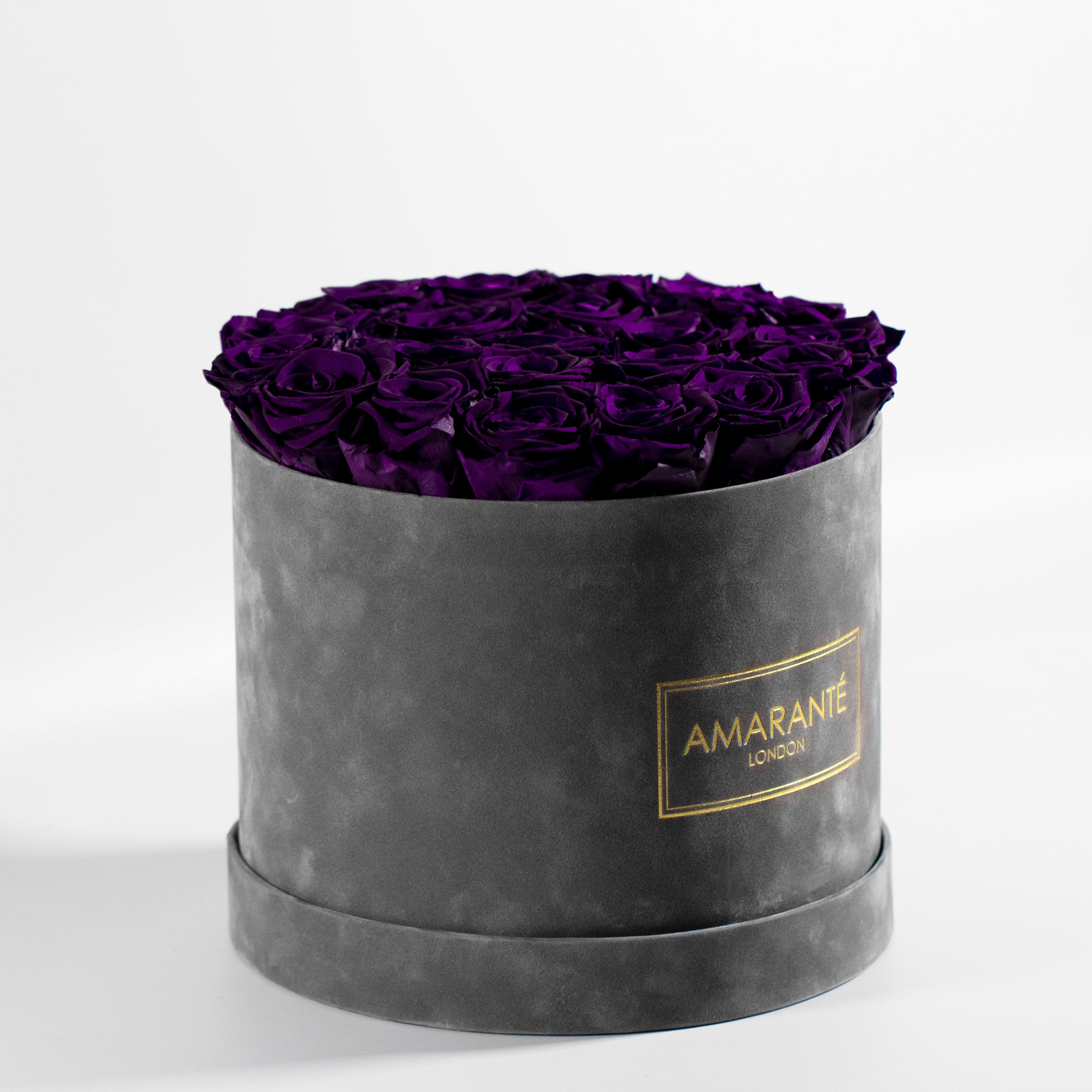 Luxurious dark purple Roses Entrenched  in a large grey box 