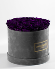 Luxurious dark purple Roses Entrenched  in a large grey box 