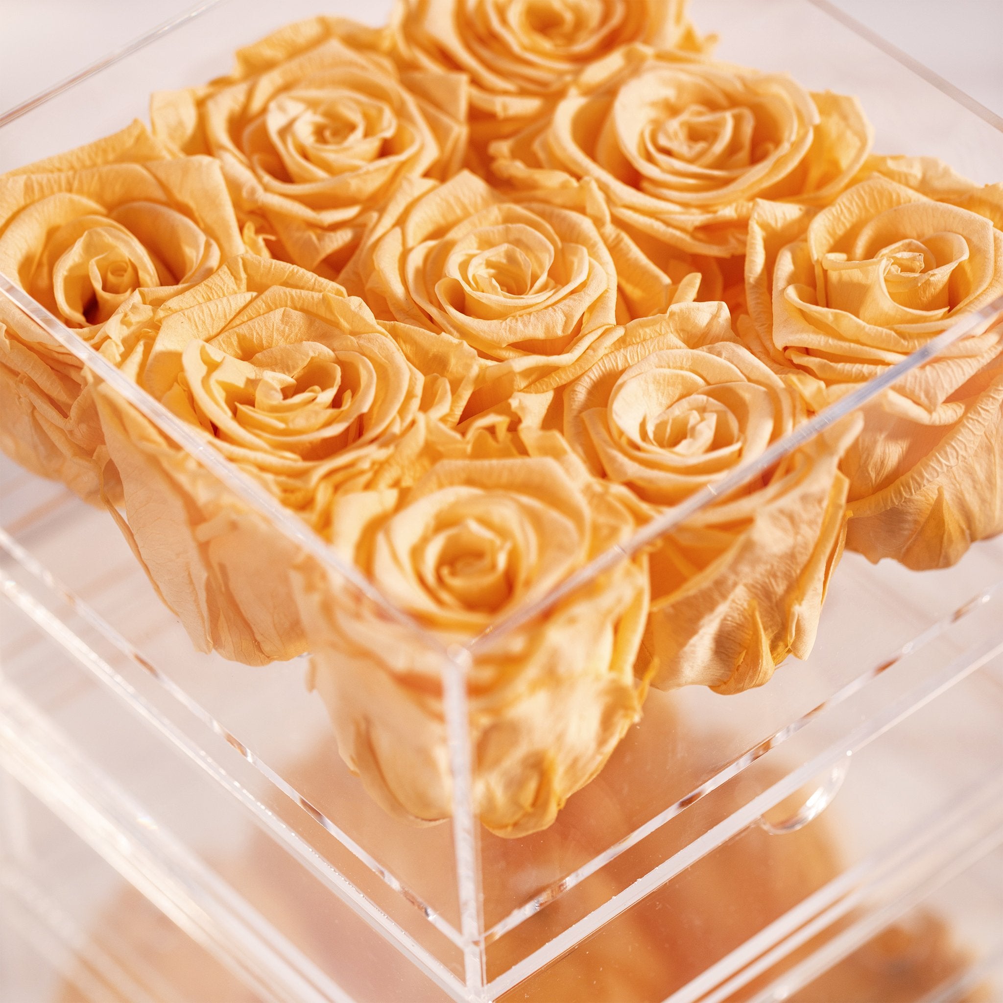 Artful peach Roses in a set of nine, denoting energy, communication, and  originality. 