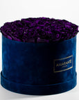 Luxurious dark purple Roses displayed in a divine package. 