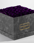 Magical dark purple Roses in an divine grey large box 