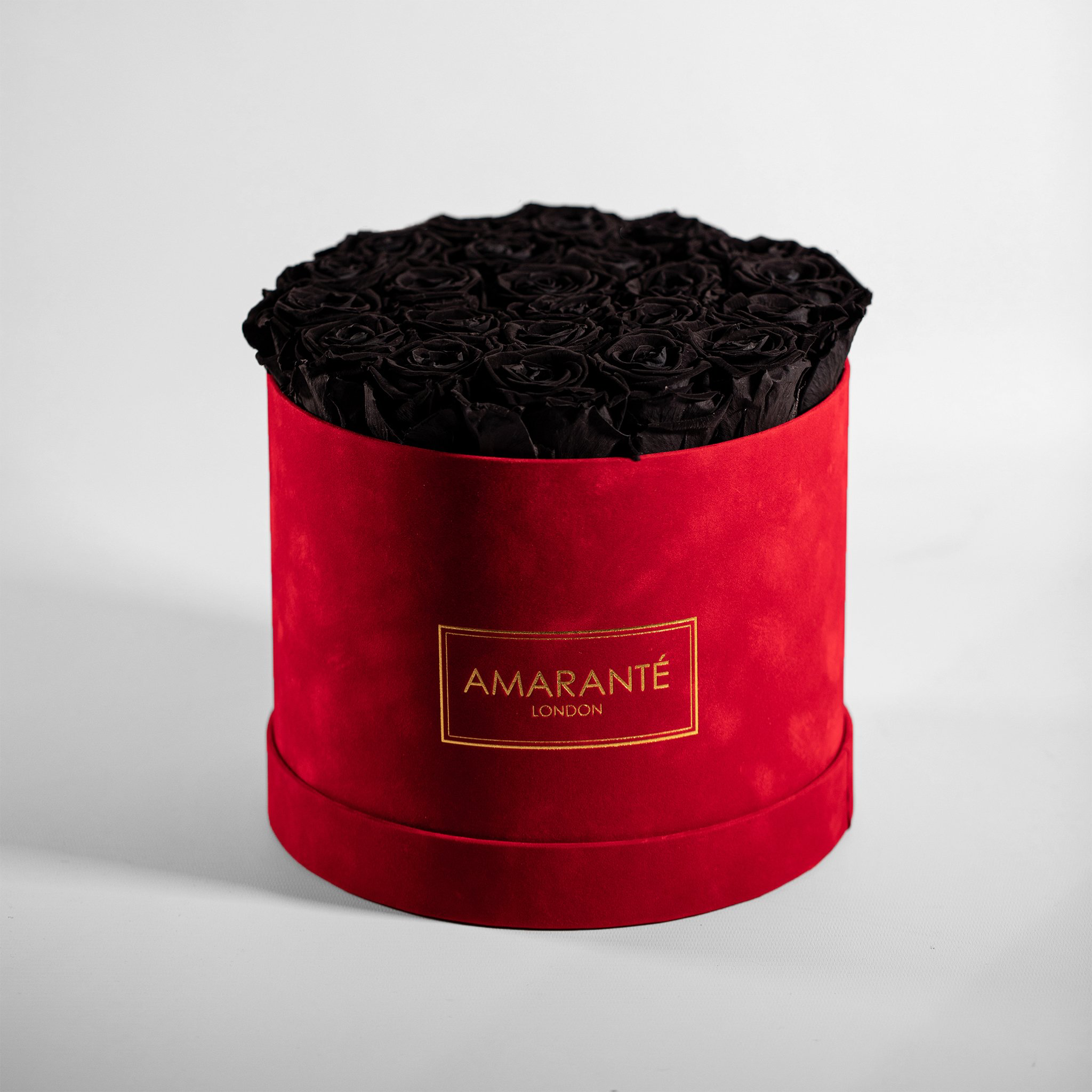 Bold black Roses shown in a dreamy red box 