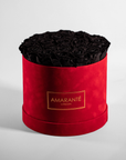 Bold black Roses shown in a dreamy red box 