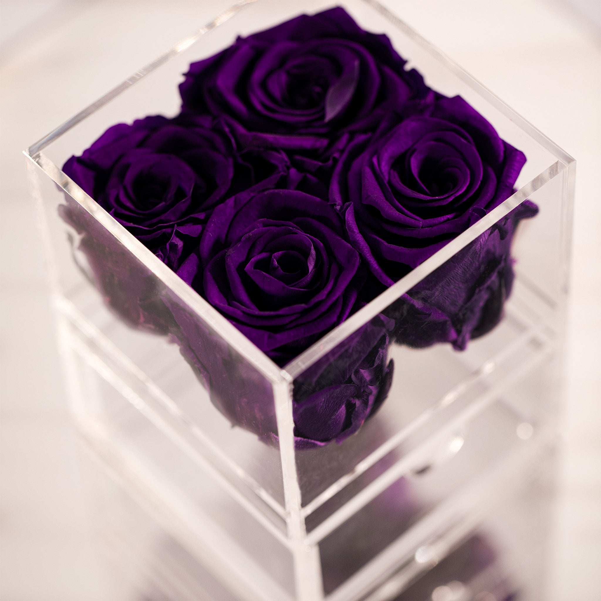 Luxurious dark purple roses in a small transparent box, implying fantasy and magic 
