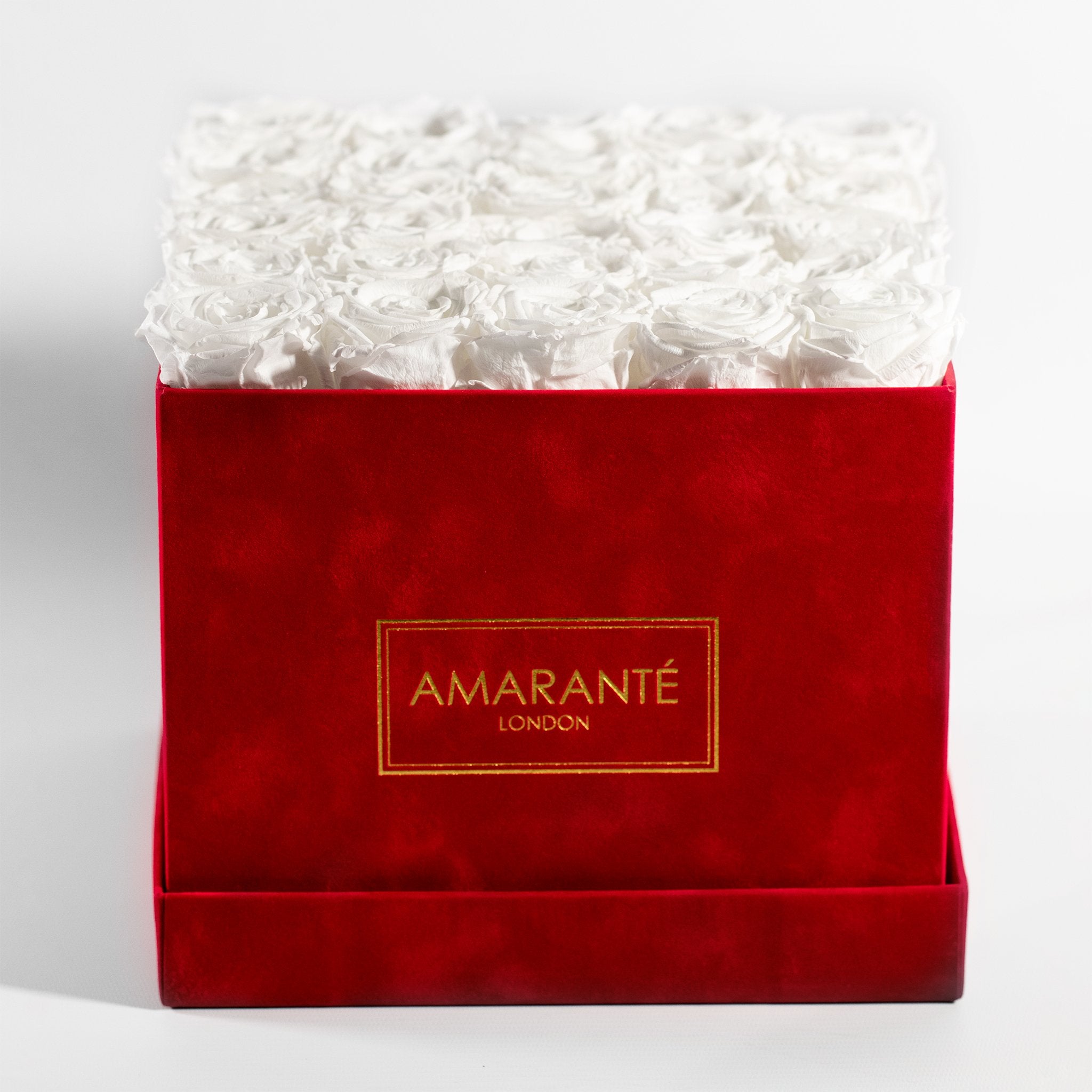 Chic white Roses imbedded perfectly into an idyllic red package. 