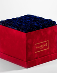 Luxurious royal blue Roses in a fiery red large suede box 
