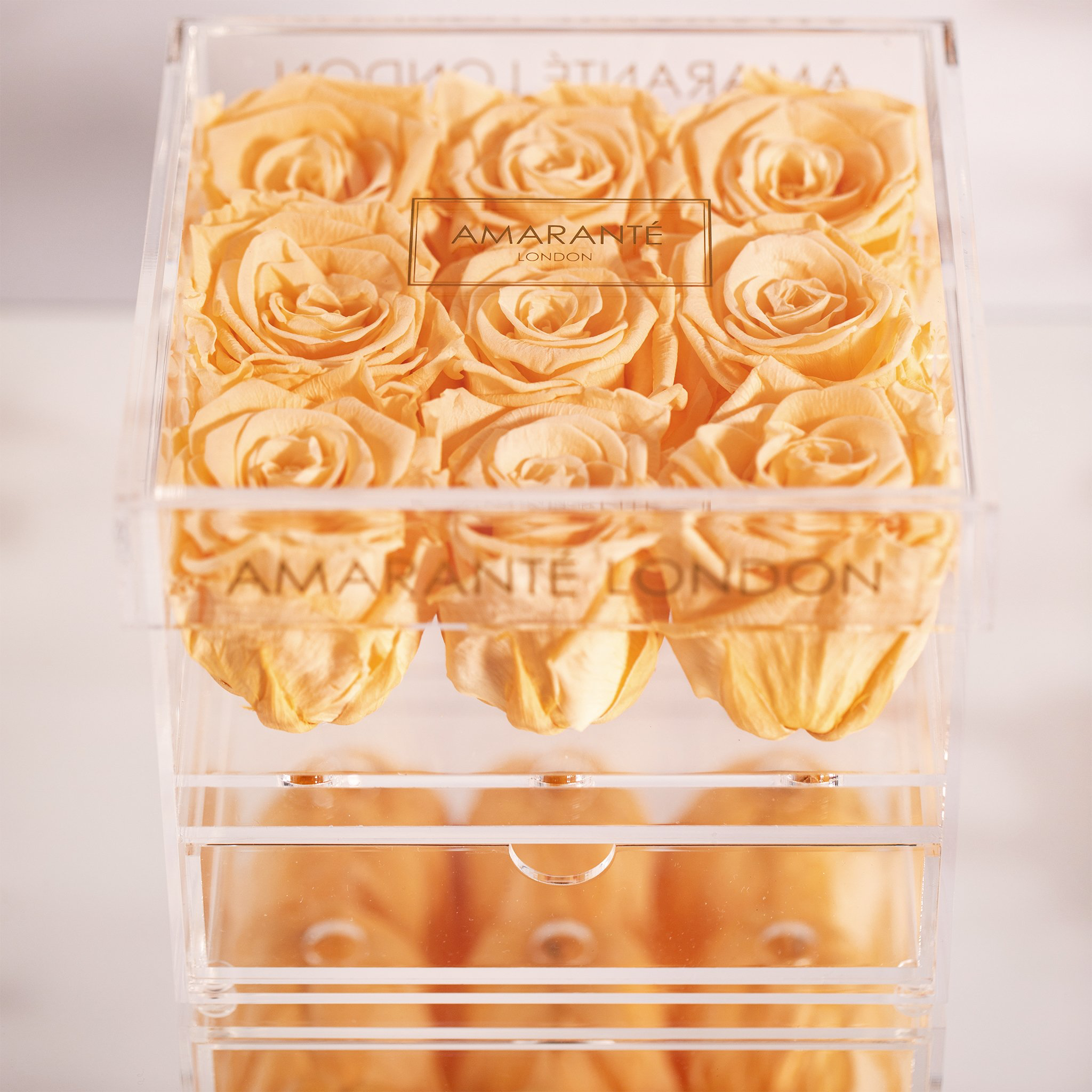 Stunning peach Roses connoting adventure, excitement, and originality. 