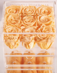 Stunning peach Roses connoting adventure, excitement, and originality. 