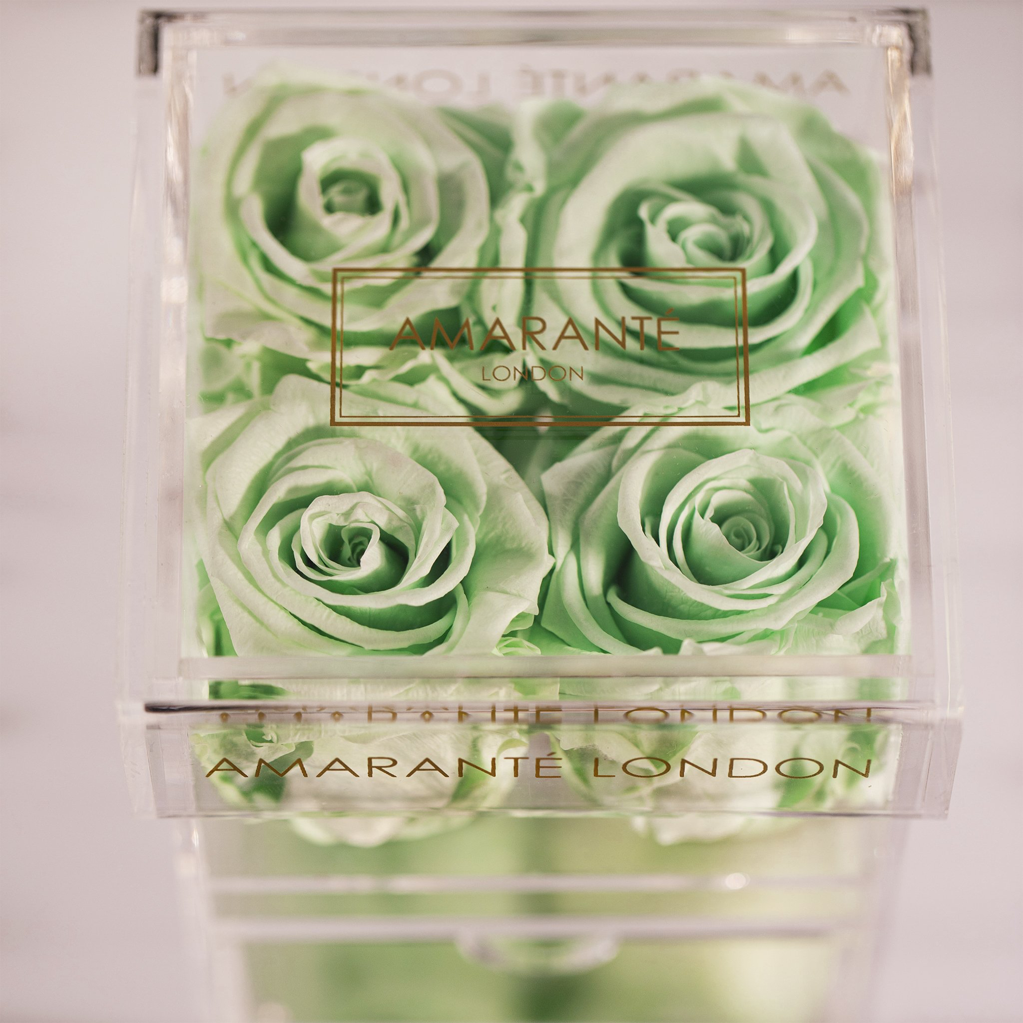 Revitlaising mint green roses suggesting nature and peace 