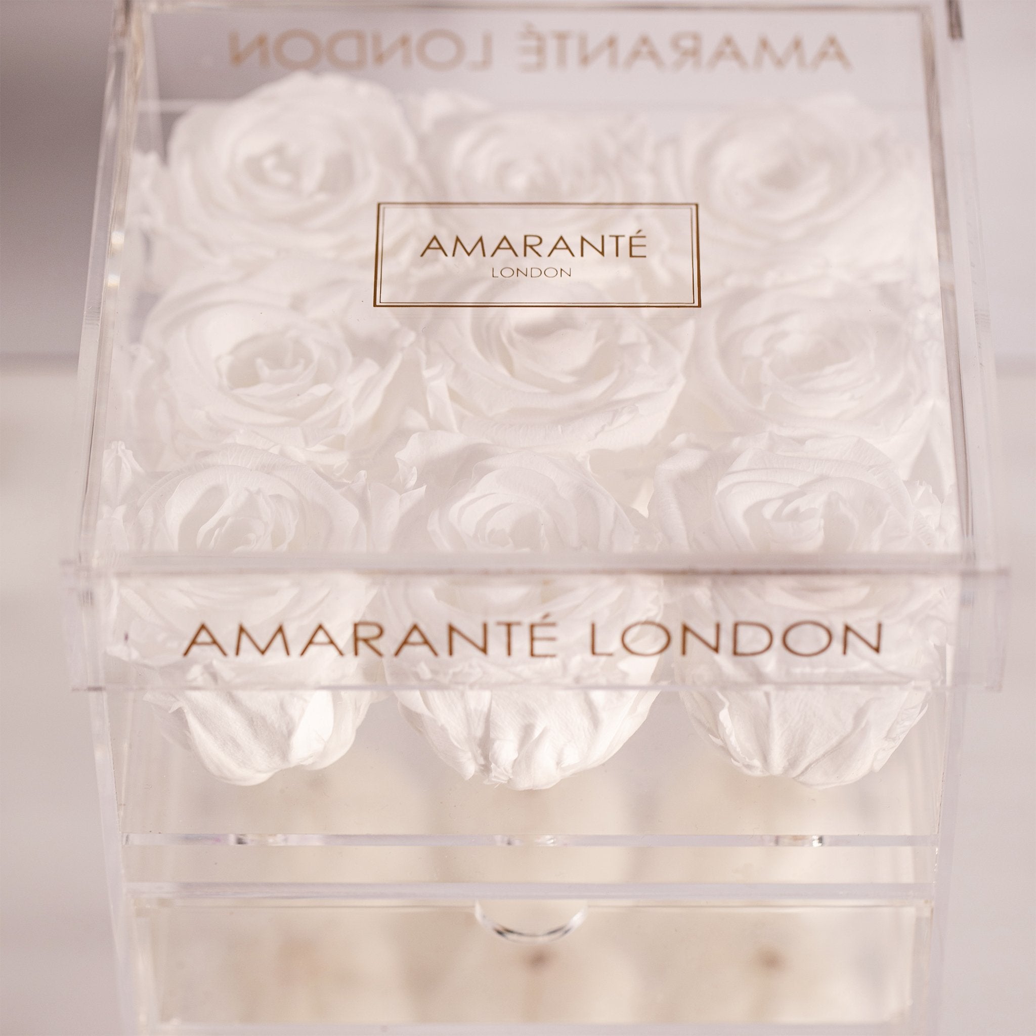 Captivating white Roses implying balance, clarity, and purity. 