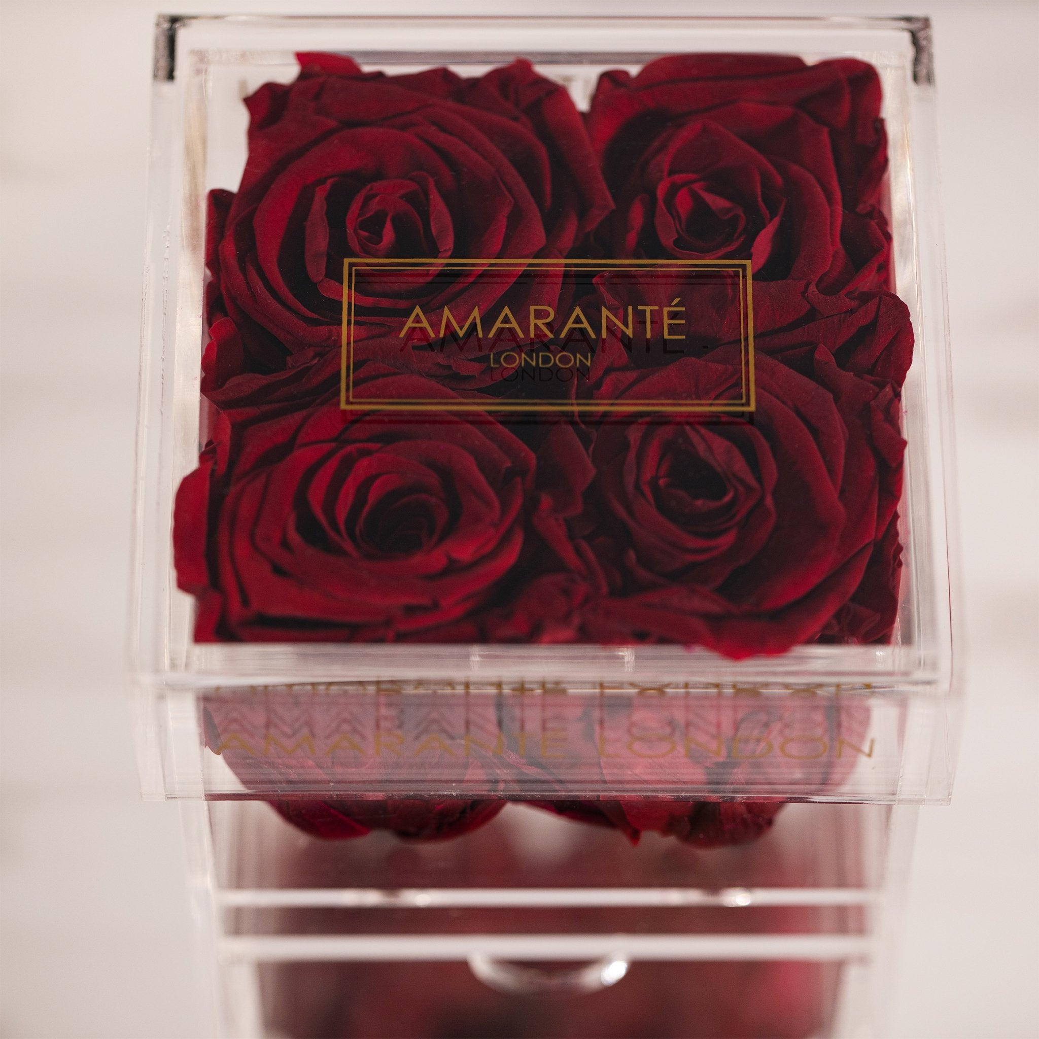 Divine wine red roses connoting courage and admiration 