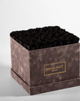 Bold grey box with sophisticated black Roses, expressing mystery and danger. 
