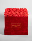 Elegant hot pink coloured Roses connoting love and beauty, featured in a large red box 
