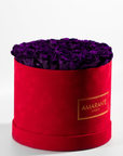 Enchanting dark purple Roses encompassed in a delicate red box 