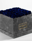 Luxurious grey box featuring blooming royal blue Roses