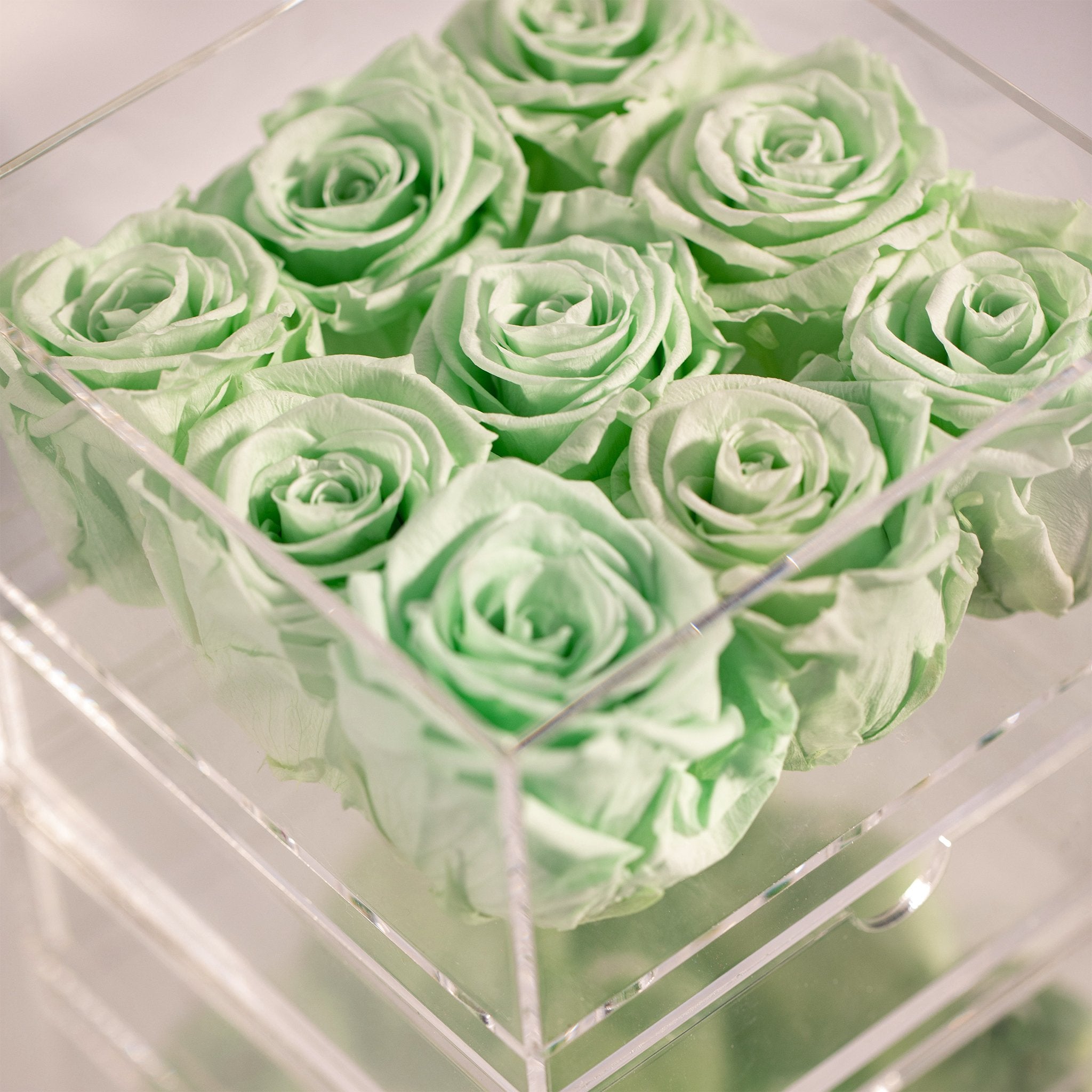 Elegant mint green Roses symbolising nature, good health, and peace 