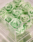 Elegant mint green Roses symbolising nature, good health, and peace 