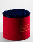 Luxurious royal purple Roses in a modish red box denoting protection and healing 