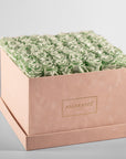 Revitalising Green Roses displayed in a classic beige box.