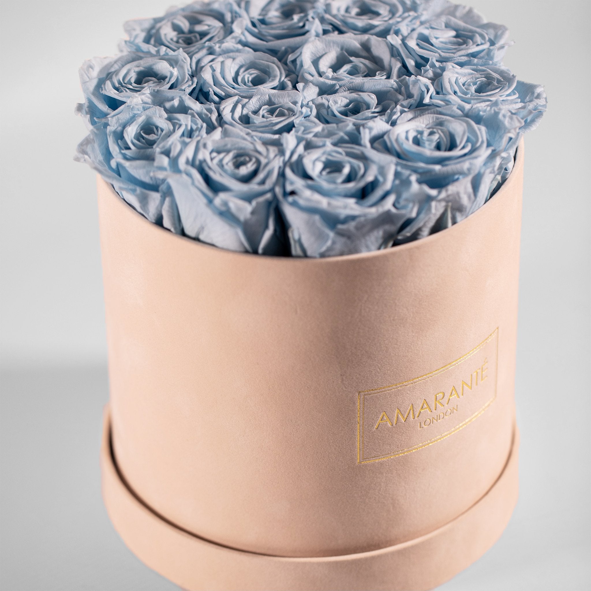 Idyllic light blue roses connoting health, healing, and protection. 