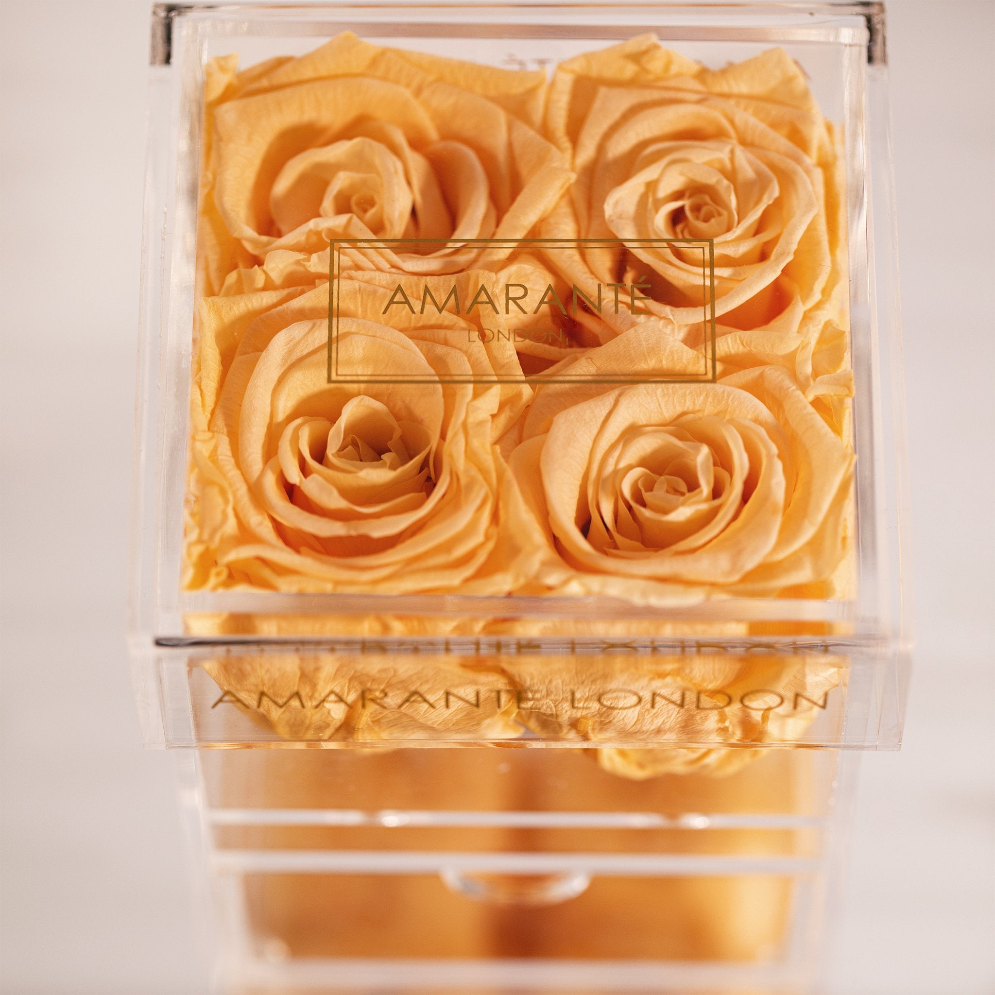 Fragrant peach roses expressing warmth and communication 