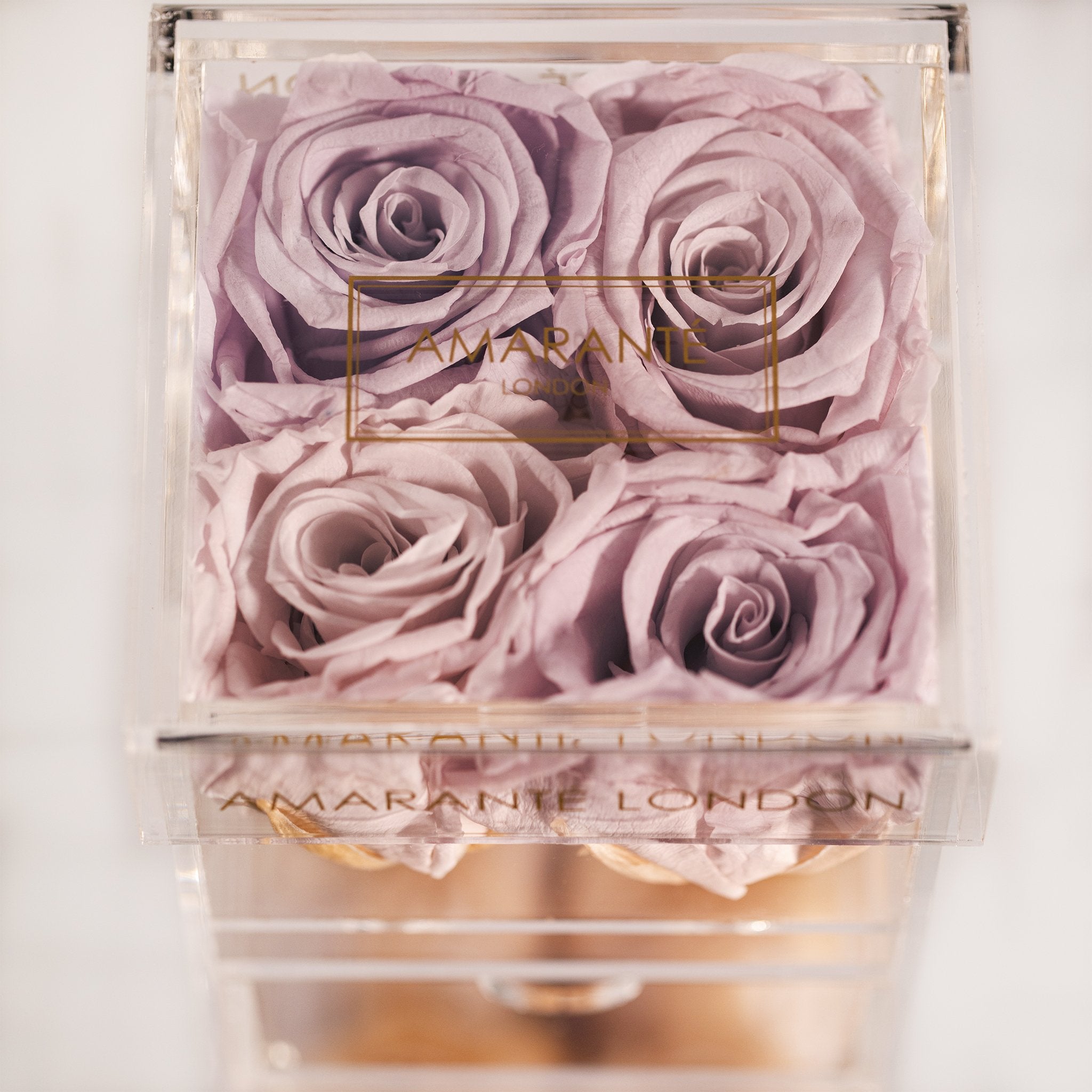 Artful lavender roses expressing calmness and peace 