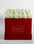Energising mint green Roses displayed in a magical red box 