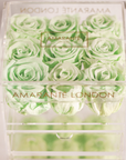 Revitalising mint green Roses featured in a set of nine in a dapper acrylic box. 
