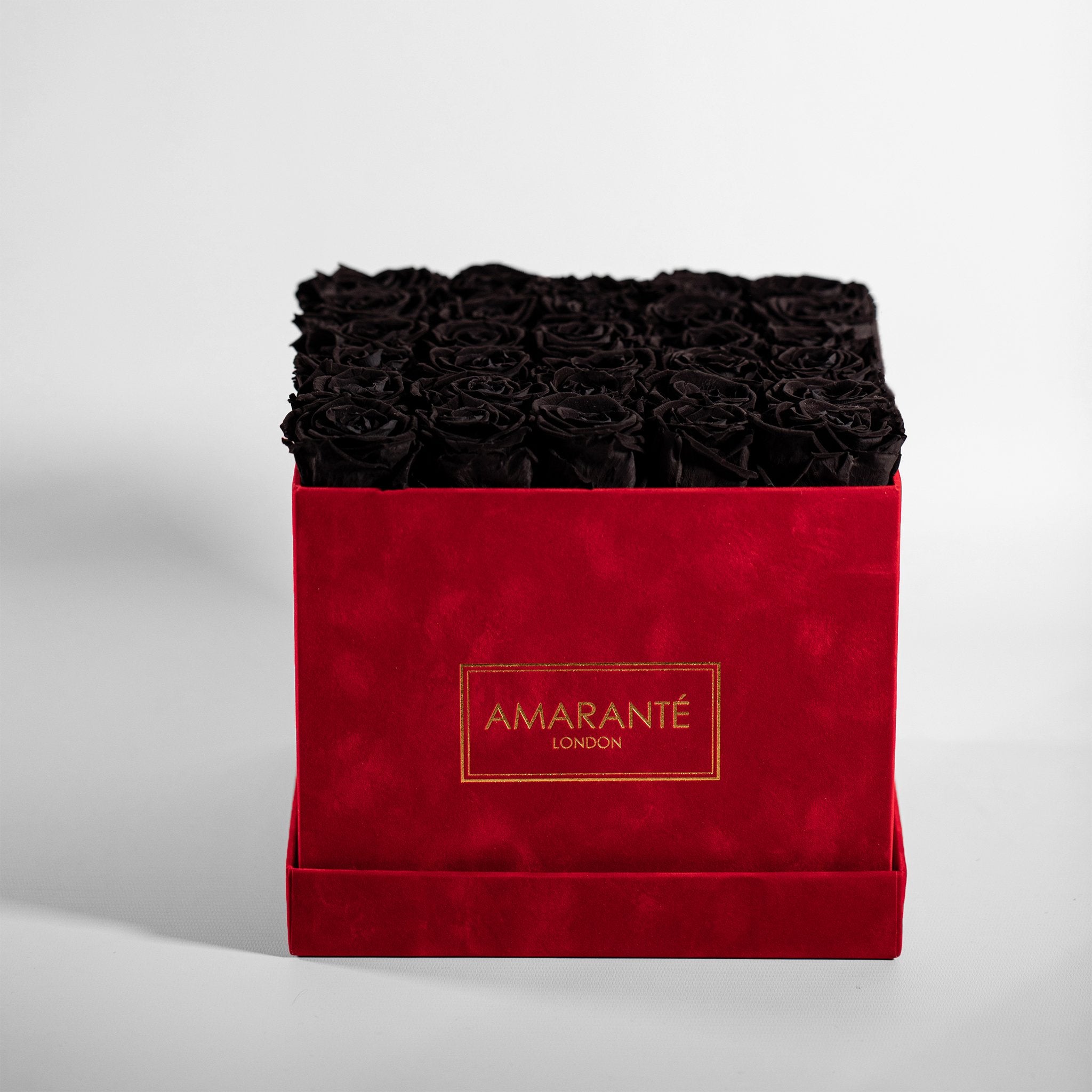 Botanical black Roses photographed in a stunning red large box 