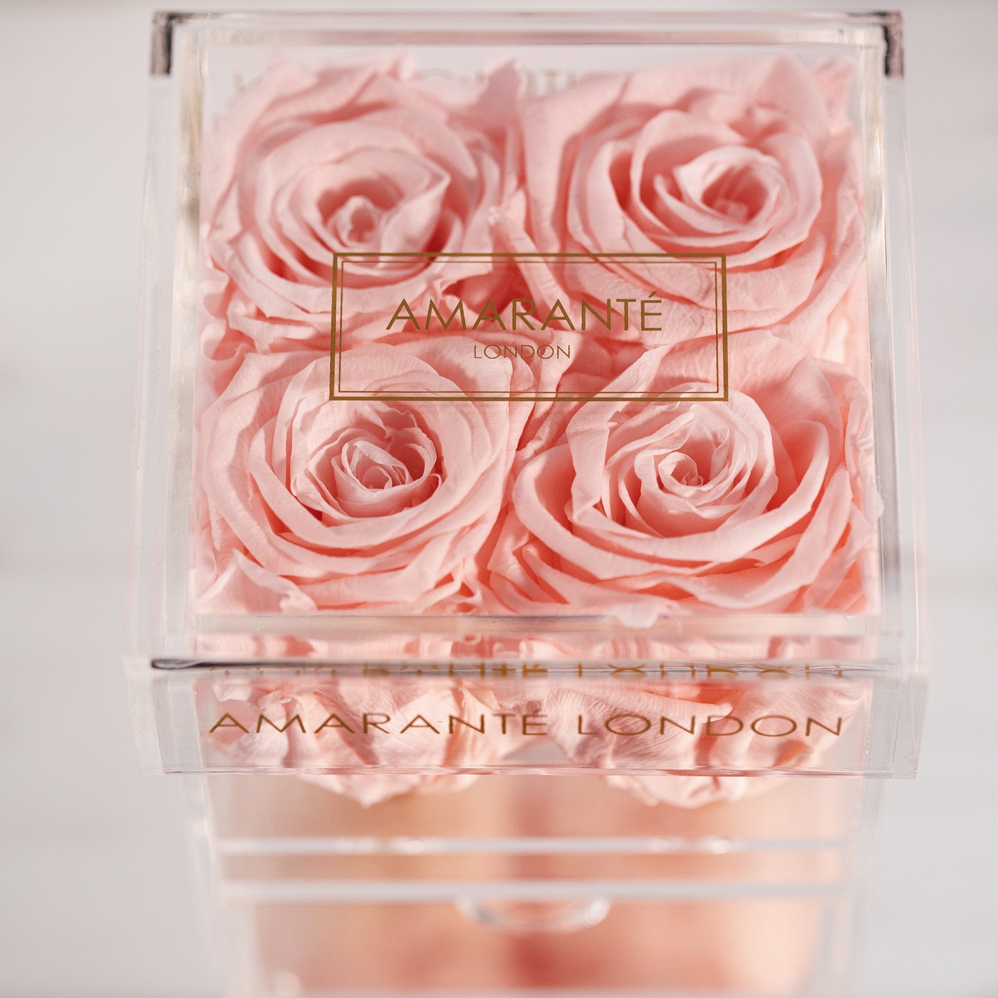 Delicate light pink rose photographed in a dapper box 