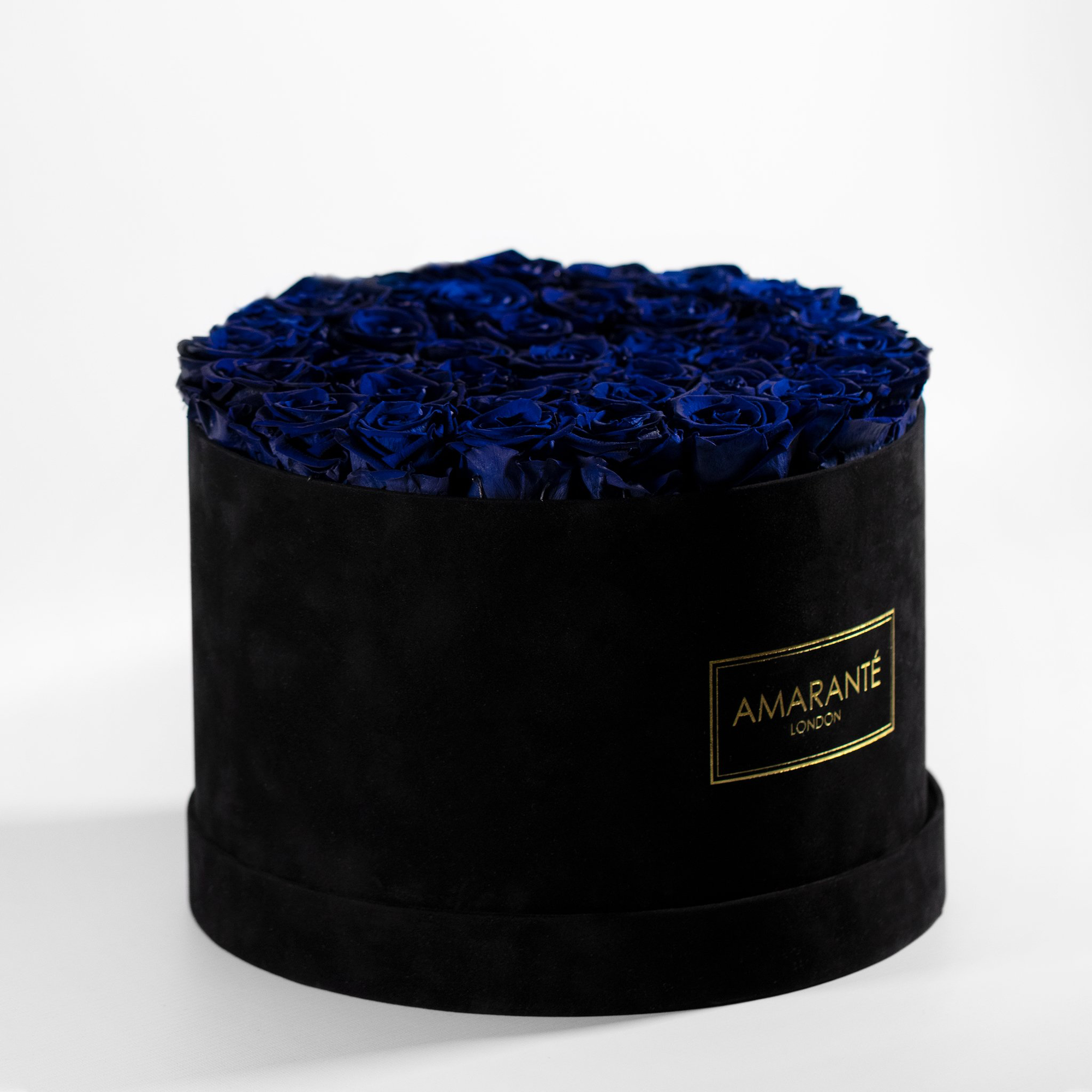 Luxurious royal blue Roses photographed in a bold black box