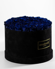 Luxurious royal blue Roses photographed in a bold black box