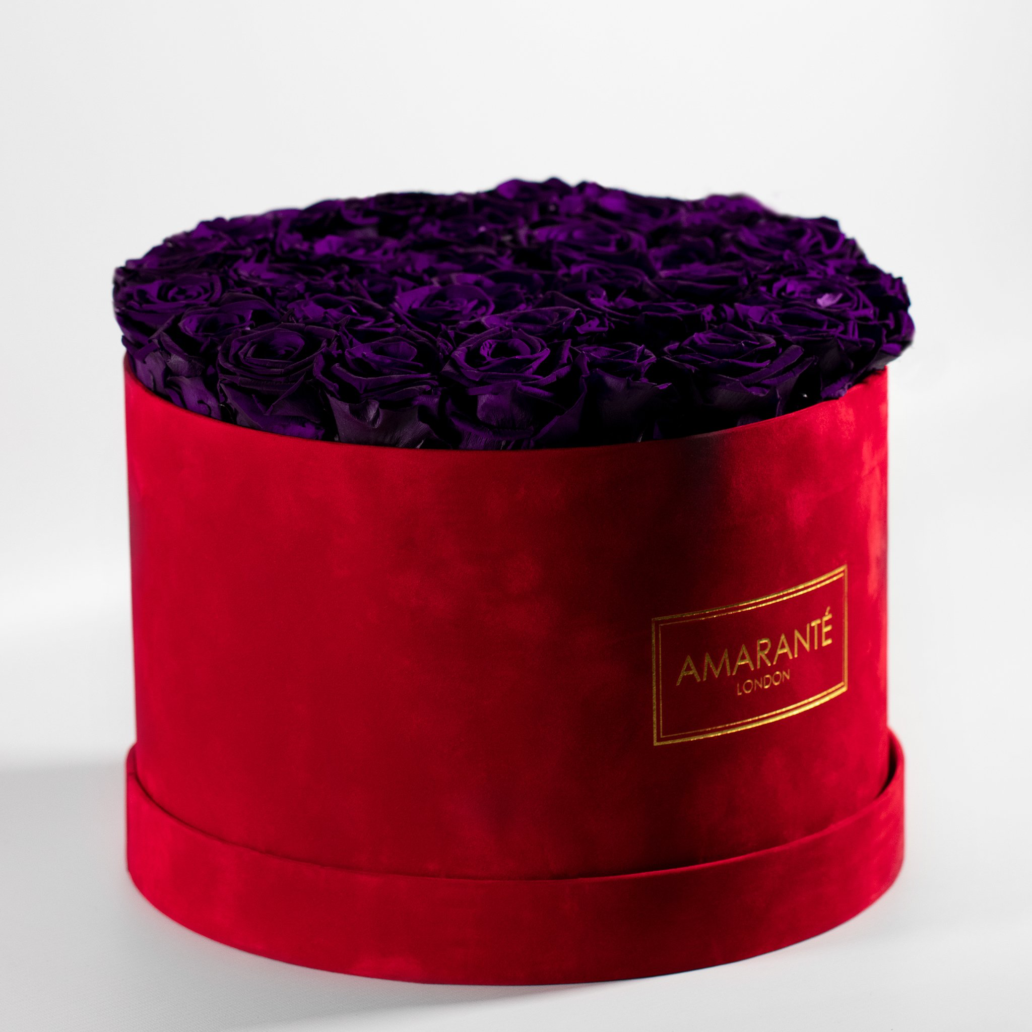 Royal Purple Roses photographed in an elegant red box. 