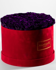 Royal Purple Roses photographed in an elegant red box. 