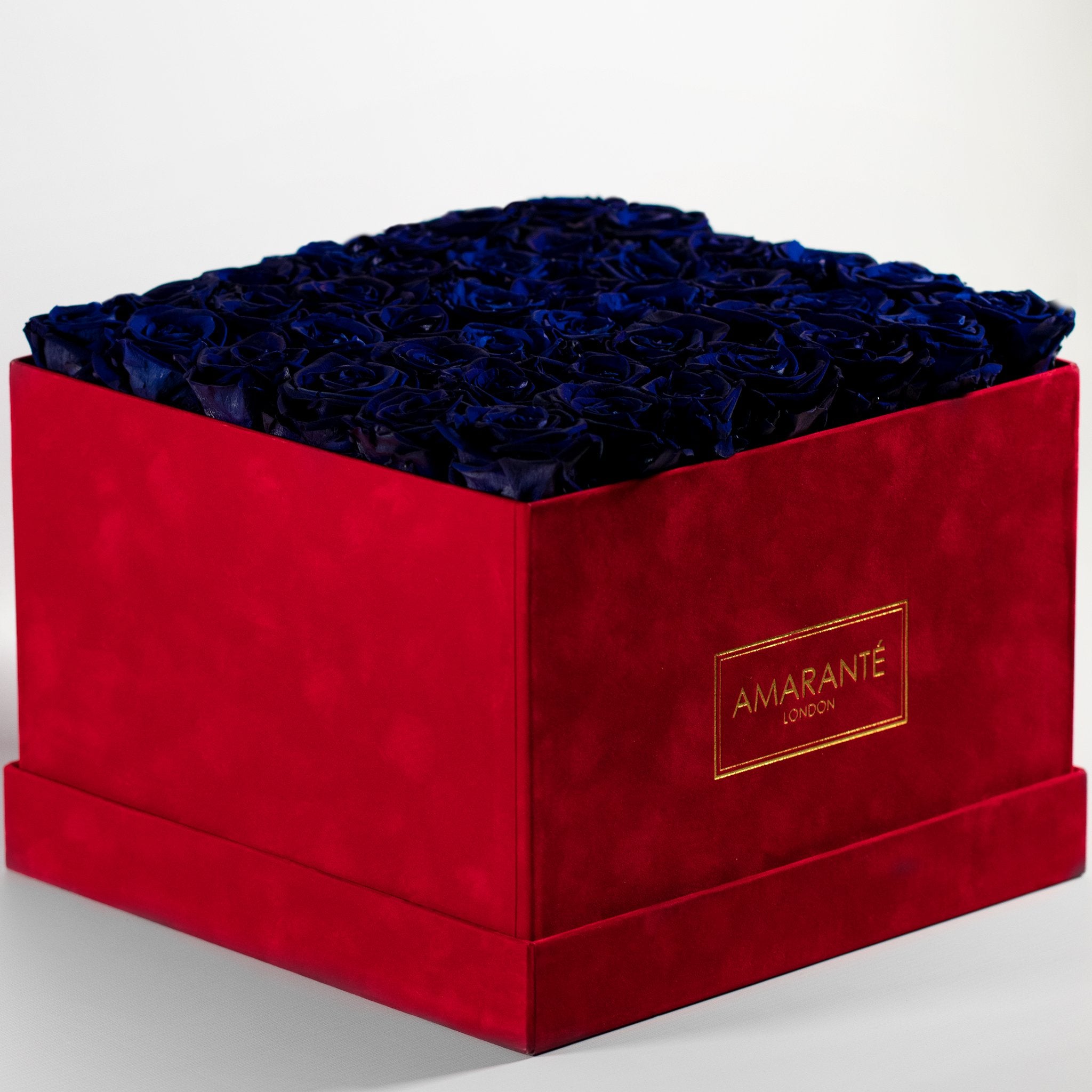 Luxurious royal blue roses implying protection and trust 