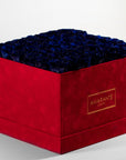 Luxurious royal blue roses implying protection and trust 