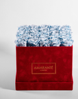 Delicate light blue Roses encompassed  in a vivid red large suede box,